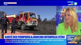 Alpes-Maritimes: la sénatrice Alexandra Borchio-Fontimp interpelle l'État sur le risque accru de cancer chez les pompiers
