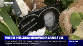 Estagel: en garde à vue, un homme reconnaît avoir tué Priscillia