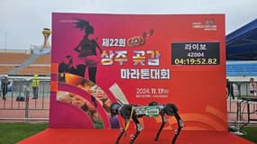 Raibo2, le chhien-robot qui a terminé un marathon. 
