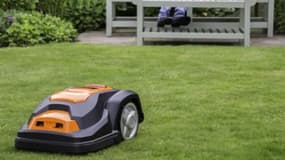 Vite, les stocks s'épuisent : ce robot-tondeuse est à prix réduit et les fans de jardin en profitent
