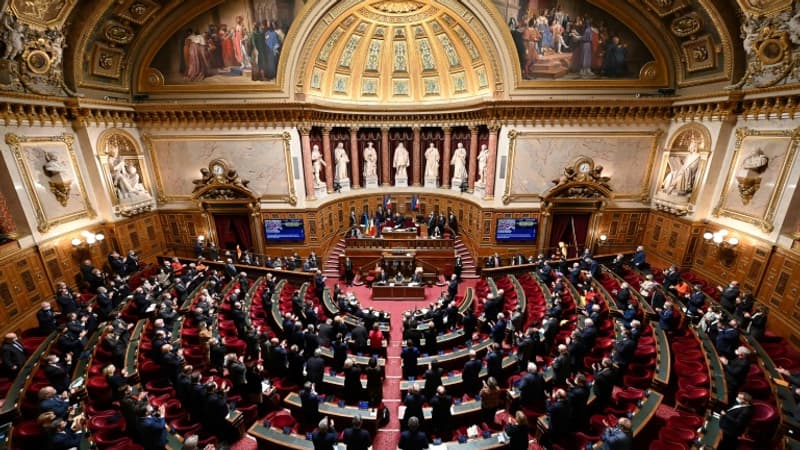 EN DIRECT - Le Sénat débat du pouvoir d'achat, Macron reçoit Ben Salmane: suivez l'actualité politique de ce jeudi