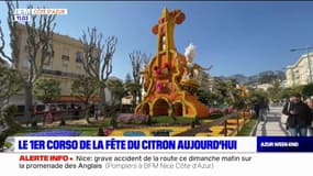 Alpes-Maritimes: le premier corso de la Fête du citron attendu à Menton