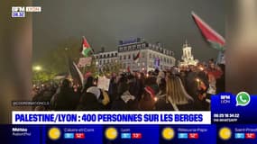 Lyon: 400 personnes rassemblées en soutien à la Palestine