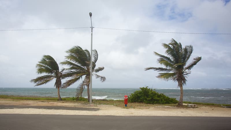 Aux Antilles, la grève générale de 2009 a laissé un goût amer