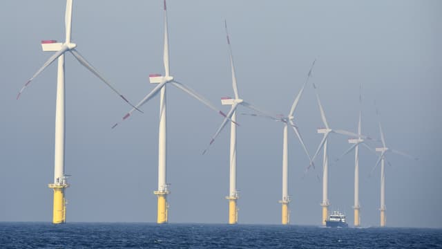 La ministre de l'Environnement et de l'Energie, Ségolène Royal, a annoncé qu'un appel d'offres serait lancé pour la pose d'éoliennes en mer au large de l'île d'Oléron (Charente-Maritime), 