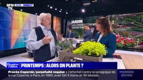 Printemps: les conseils pour bien entretenir son jardin