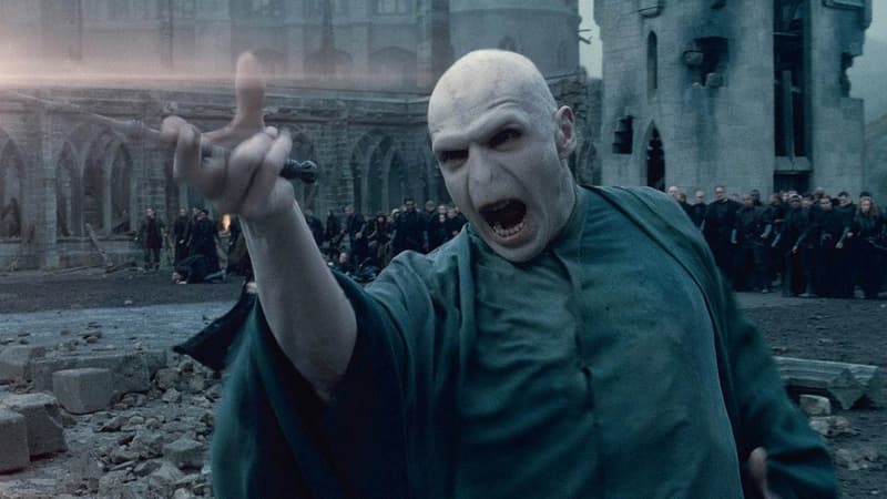 Voldemort, ennemi ultime de Harry Potter, va avoir droit à son propre film grâce à des fans
