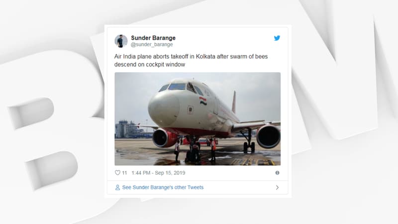 Les abeilles sur le cockpit d'un avion d'Air India. 