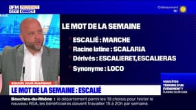 Bouon Jour Marsiho: "escalié", le mot de la semaine