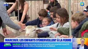Alpes-de-Haute-Provence: une journée à la ferme pour les élèves de l'école Selonnet