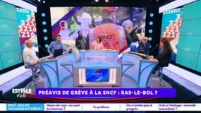 Grèves SNCF :  "J'en ai marre d'être pris en otage !" 
