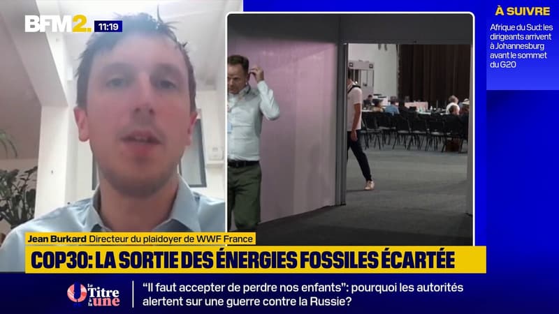 "Leadership brésilien", "hypocrisie de l'Union européenne": WWF France tire les premières leçons de la COP30