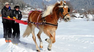 Séance de ski joëring à Vallorcine, en Haute-Savoie