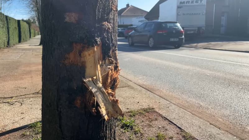 "Que font-ils sur la route?”: l'incompréhension après un accident mortel impliquant des mineurs dans le Pas-de-Calais