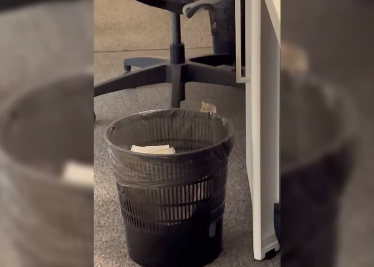 placeholder video