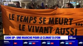 Lyon: une marche pour le climat pour interpeller les candidats à la présidentielle