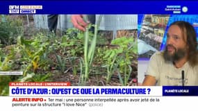 Planète locale du 1 mai  -  Nice, une école de permaculture à Pessicart