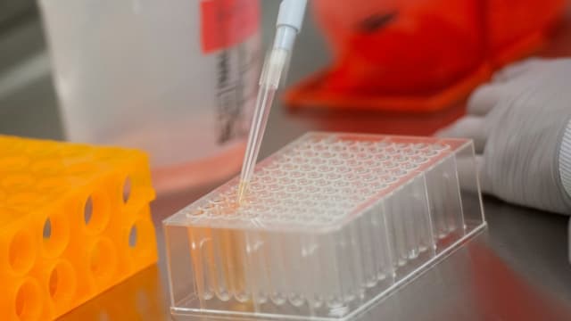 Des échantillons dans un laboratoire Novavax à Gaithersburg aux Etats-Unis, l'un des laboratoires travaillant sur les vaccins contre le coronavirus, le 20 mars 2020
