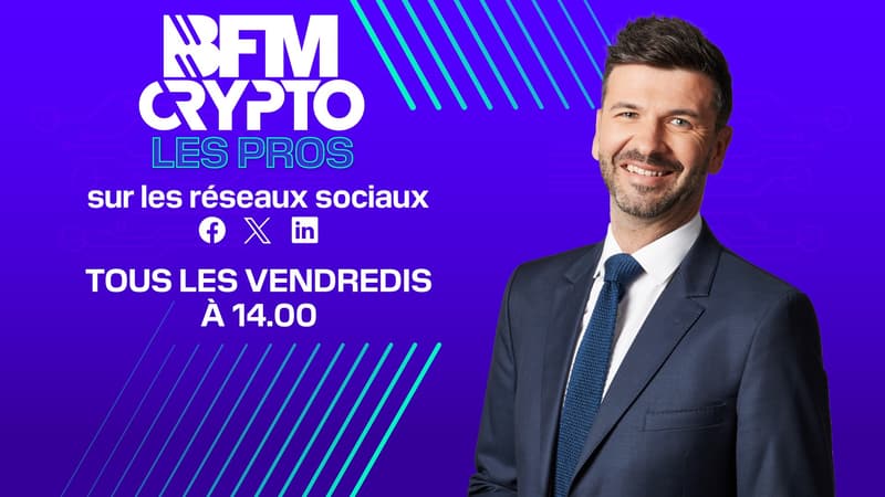 Retrouvez Les Pros des Cryptos