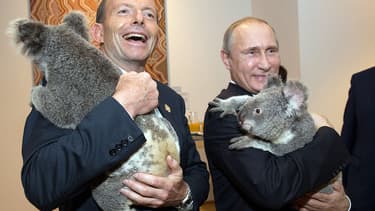 Le Premier ministre australien Tony Abbottt, le président russe Vladimir Poutine, et deux koalas.