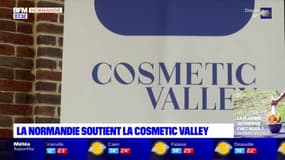 Eure: dirigeants et adhérents de la Cosmetic Valley réunis pour évoquer l'avenir de la filière dans la région