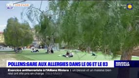 Alpes-Maritimes: un retour des pollens particulièrement précoce cette année 