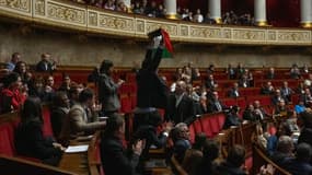 Le député insoumis Sébastien Delogu brandit le drapeau de la Palestine dans l'hémicycle le 28 mai 2024 