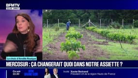 LE CHOIX D’AMÉLIE ROSIQUE - Accord UE-Mercosur: ça changerait quoi dans notre assiette? 