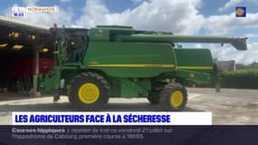En Normandie, les agriculteurs face à la sécheresse