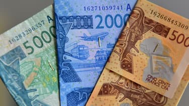"L'Eco verra le jour en 2020, je m'en félicite", a déclaré le président français en citant le nom de la monnaie commune qui doit remplacer le franc CFA dans huit pays francophones de l'Afrique de l'Ouest.