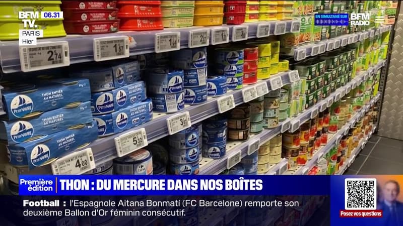 Deux ONG alertent sur la contamination au mercure des boîtes de thon