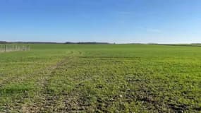 Le champ d'un agriculteur à Sonchamp le 20 février 2023.
