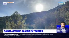 Sainte-Victoire: des ânes pour aider aux travaux de la vigie