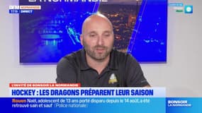"Beaucoup d'excitation": les Dragons de Rouen préparent leur saison