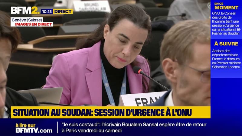 "Pire crise humanitaire au monde": la France "condamne fermement les atrocités commises" au Soudan