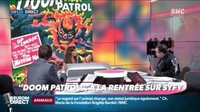 Séries en folie : "Doom Patrol", à la rentrée sur Syfy