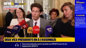 Vice-présidents RN à l'Assemblée: l'écologiste Jérémie Iordanoff parle d'un "jour triste pour la République"