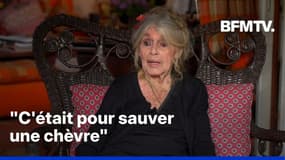 Mort de Brigitte Bardot: quand l'actrice racontait à BFMTV pourquoi elle avait arrêté le cinéma 
