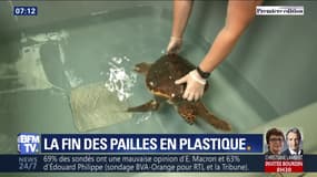 La fin des pailles en plastique