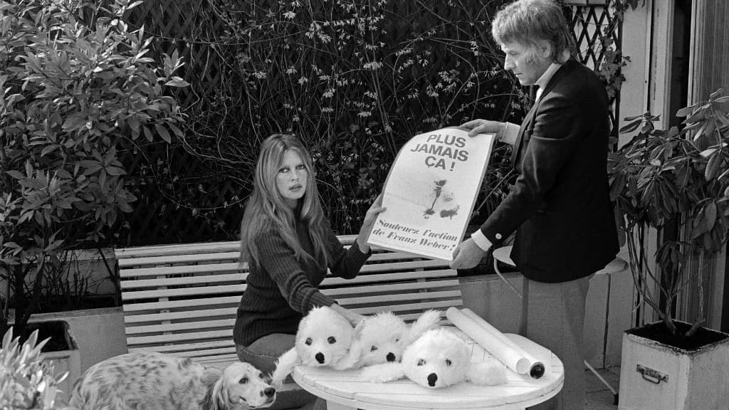 Brigitte Bardot et l'écologiste suisse Franz Weber préparant une campagne contre la chasse aux phoques à Paris, le 3 mars 1977. Brigitte Bardot et l'écologiste suisse Franz Weber préparant une campagne contre la chasse aux phoques à Paris, le 3 mars 1977.