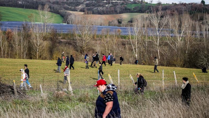 Une battue citoyenne organisée dans le Tarn, dans le cadre de l'enquête sur la disparition de Delphine Jubillar, le 23 décembre 2020
