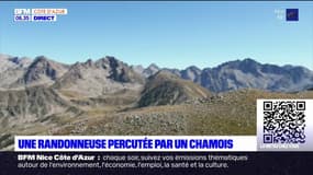 Alpes-Maritimes: une randonneuse percutée par un chamois