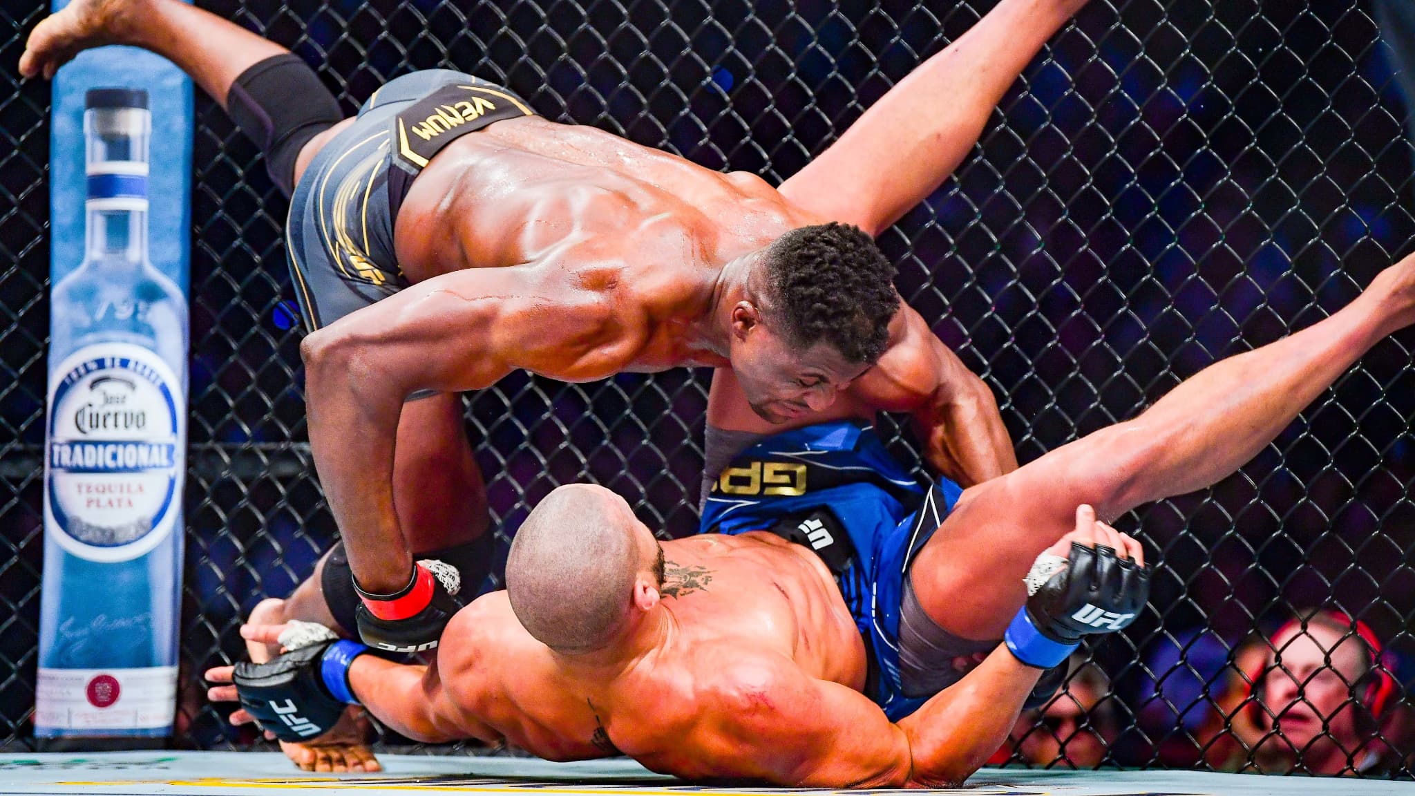 Francis Ngannou et Ciryl Gane Francis Ngannou et Ciryl Gane
