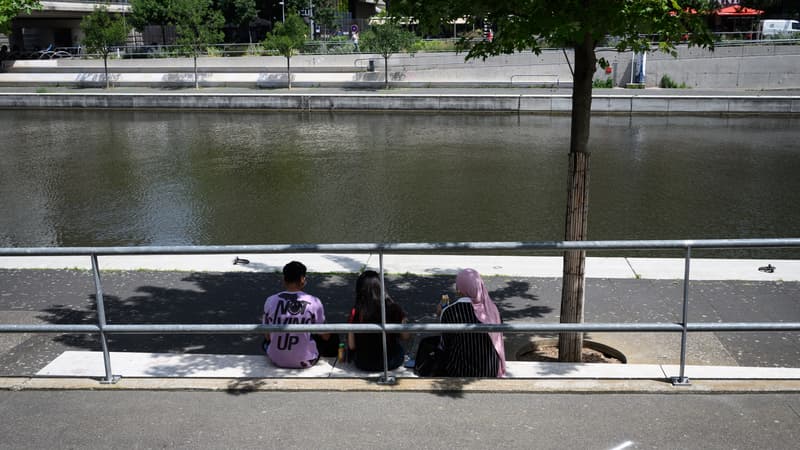 Des personnes déjeunent à l'ombre des arbres dans le quartier de la Confluence, au centre de Lyon, le 13 juin 2025.