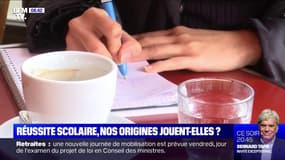 Nos origines jouent-elles sur notre réussite scolaire?