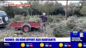 Var: la mairie offre du bois aux habitants à Signes