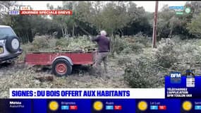 Var: la mairie offre du bois aux habitants à Signes