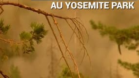 En Californie, un incendie géant menace le parc naturel de Yosemite