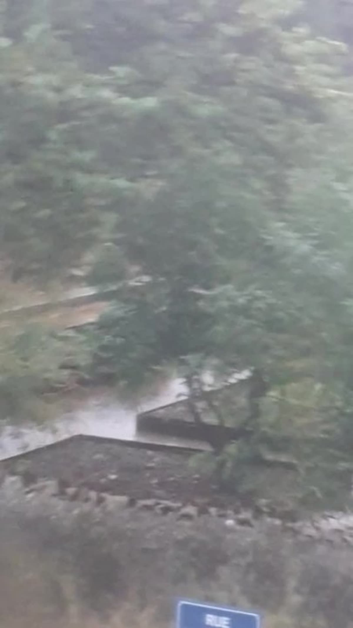 placeholder video