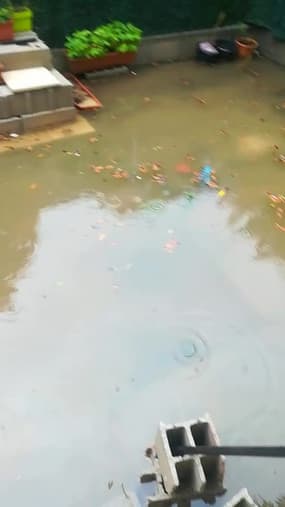 Un jardin inondé à Saint-Cyprien - Témoins BFMTV